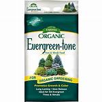 Fertilizer for Hedges