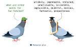 ___-Fetched (Improbable)