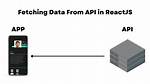 Fetching Data from an Api - Console Repeats