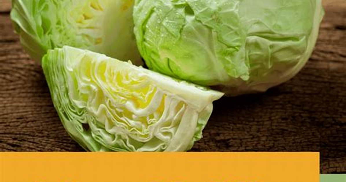 Fiber in Cabbage