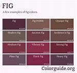Fig Color