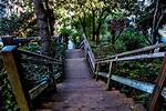 Filbert Steps