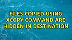 Files Copied Using Xcopy Command Are Hidden in Destination