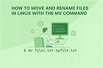 Files Missing After Using Mv Command