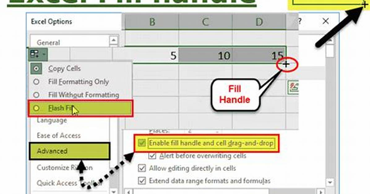 Fill Handle