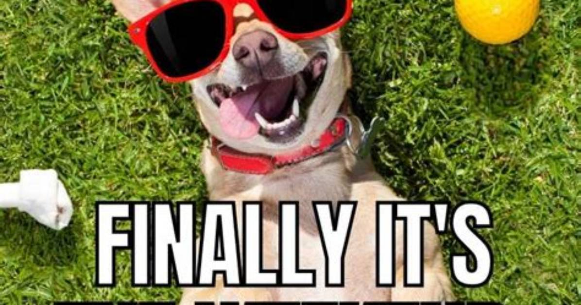Finally the Weekend! : Abbr.