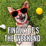 Finally the Weekend! : Abbr.
