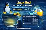 Find -Exec with Multiple Commands