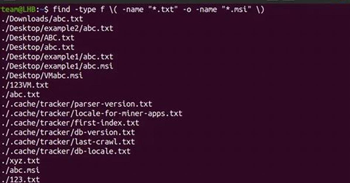 Find Multiple Files in Linux