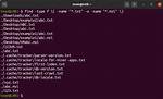 Find Multiple Files in Linux