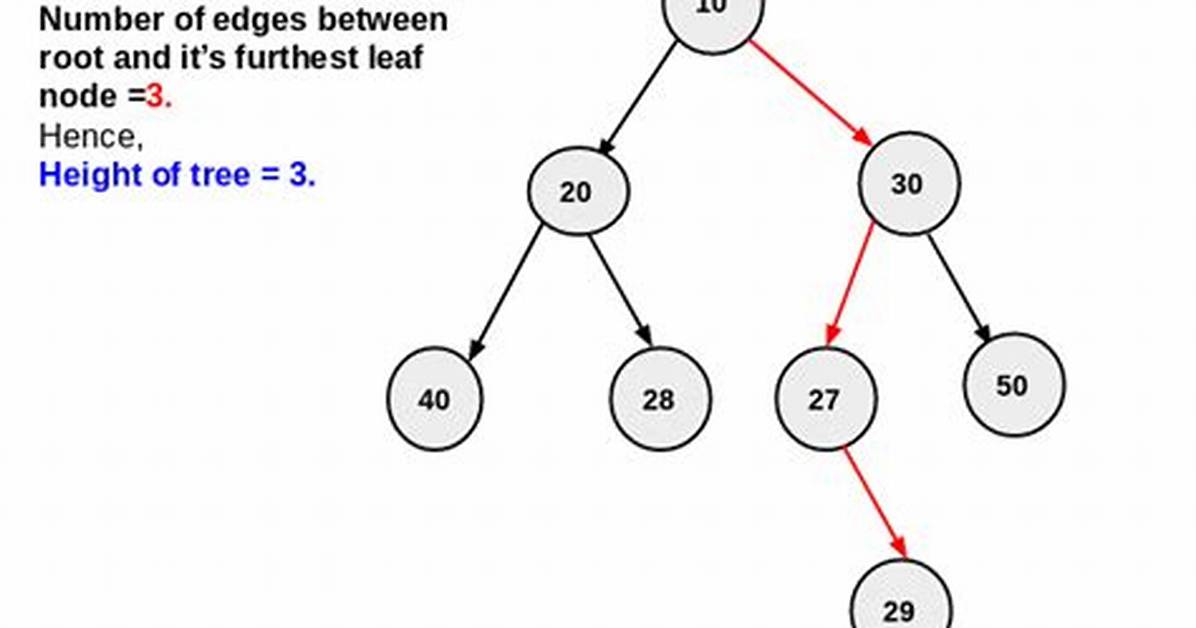 Finding Height in Binary Search Tree