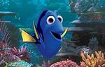 Finding Nemo Dory Fish