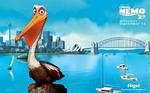 Finding Nemo Pelican