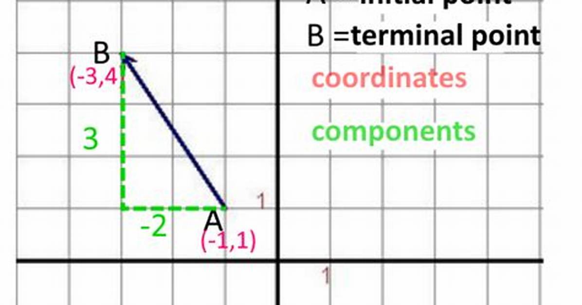 Finding Terminal Points for Vector