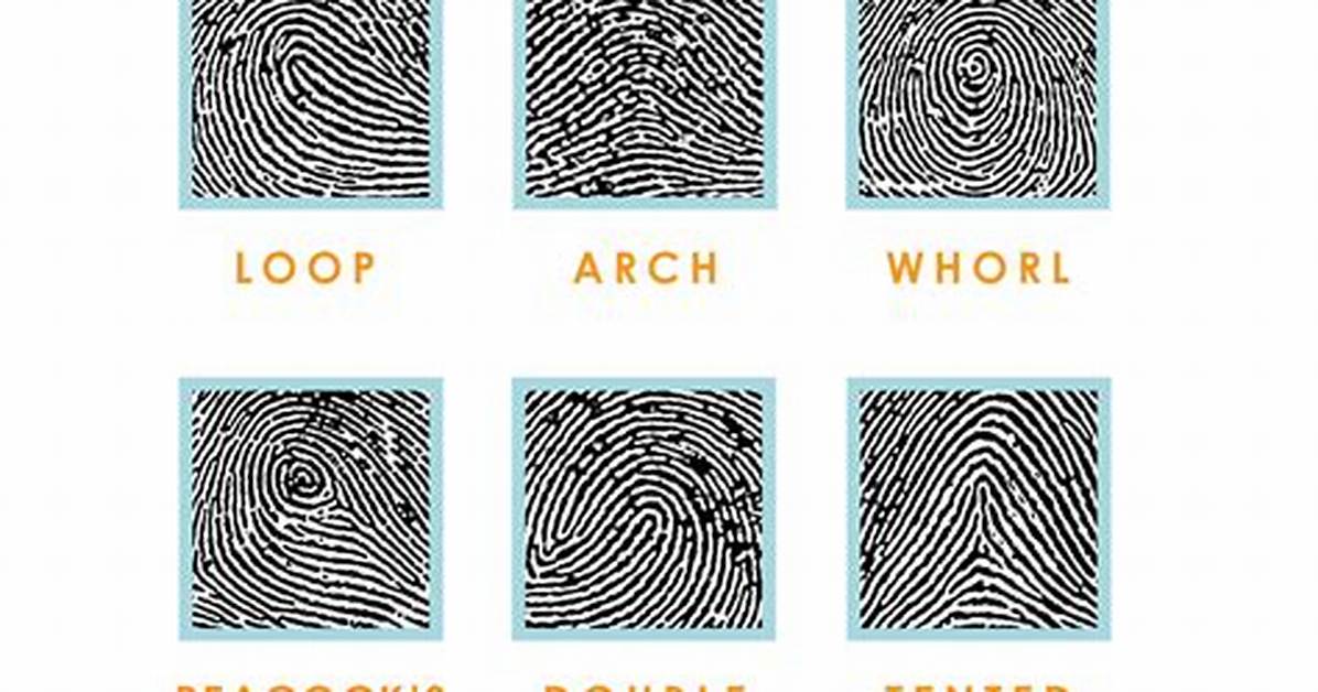 Fingerprint Patterns