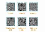 Fingerprint Patterns