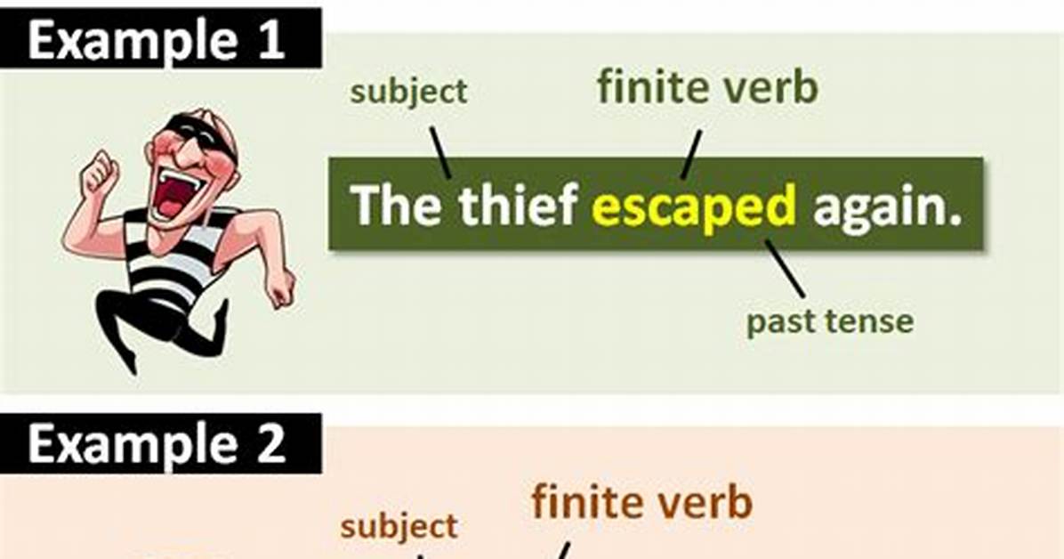 Finite Verb Examples