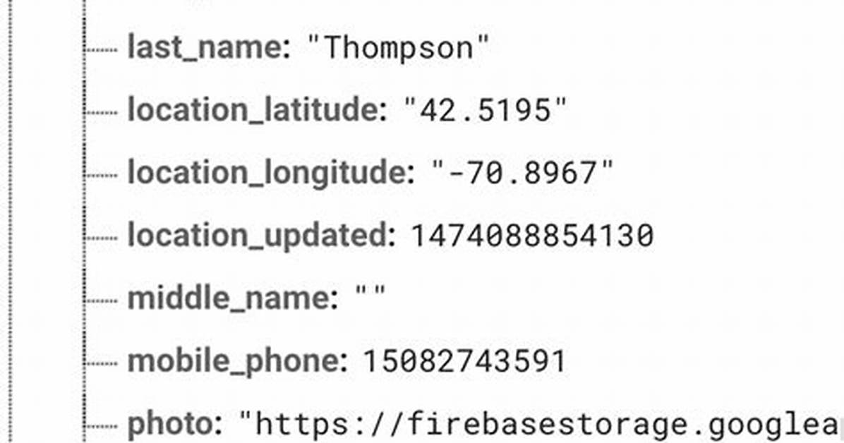Firebase Databaseexception: Failed to Convert Value of Type Java. Lang. Long to String