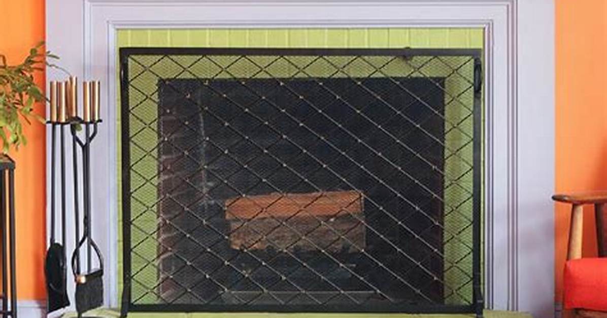 Fireplace Screen Insert