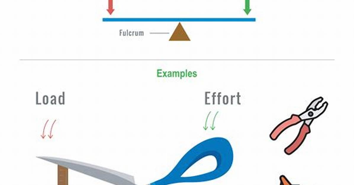First Class Lever Examples