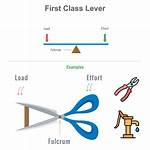First Class Lever Examples