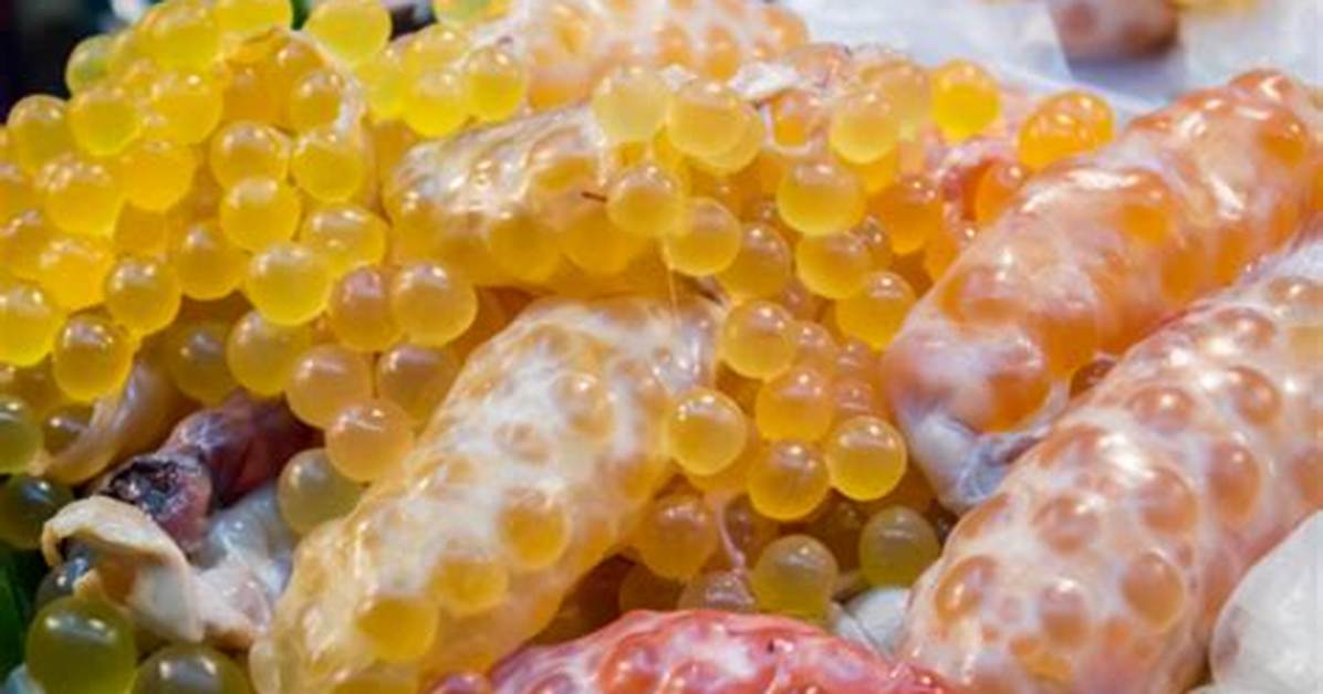 Fish Eggs