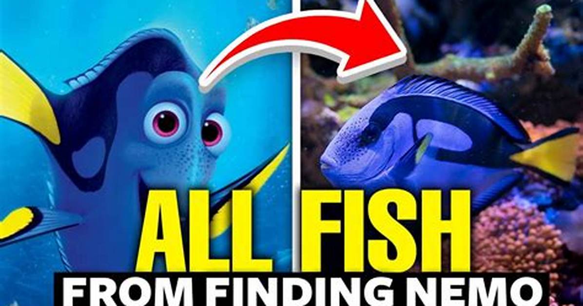 Fish Finding Nemo