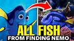 Fish Finding Nemo