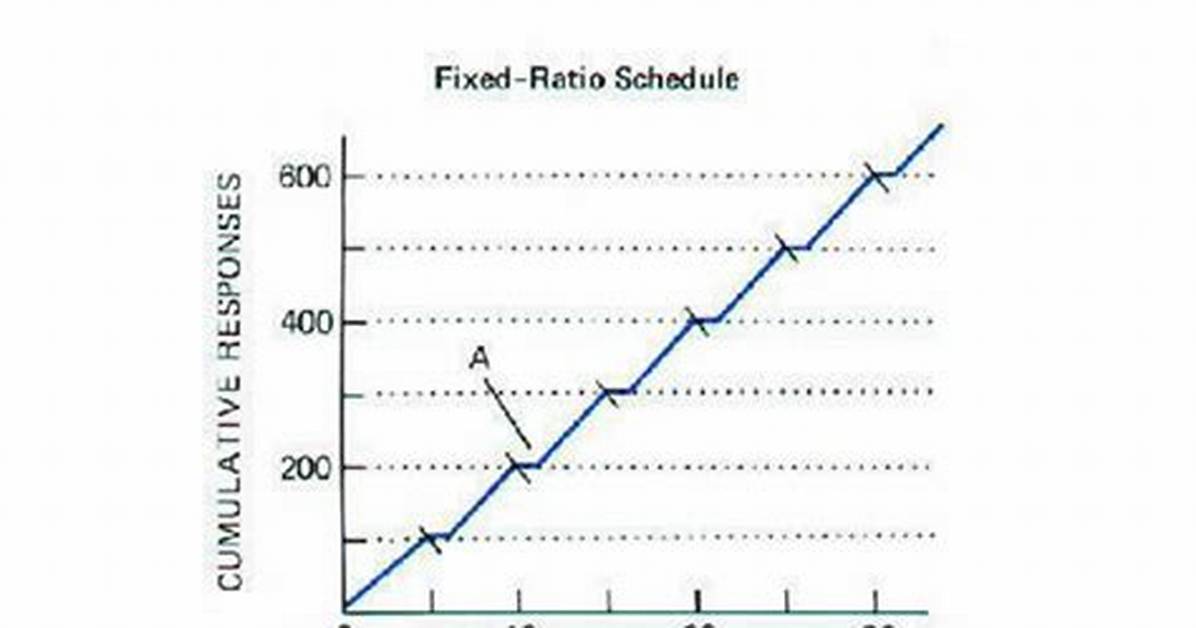 Fixed Ratio Reinforcement