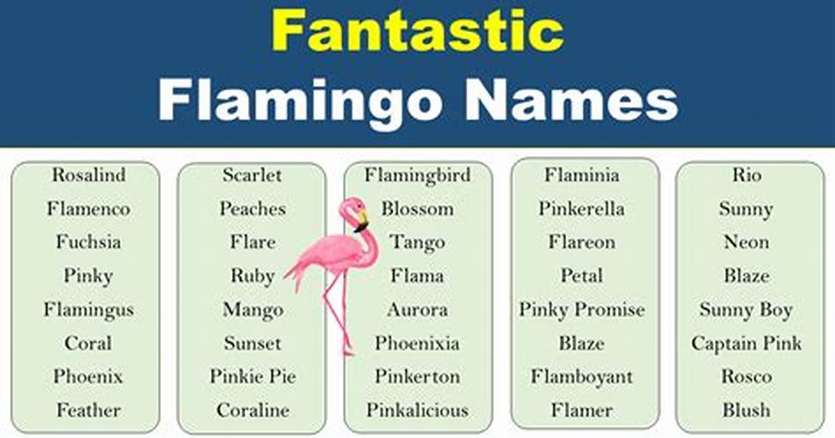 Flamingo Name