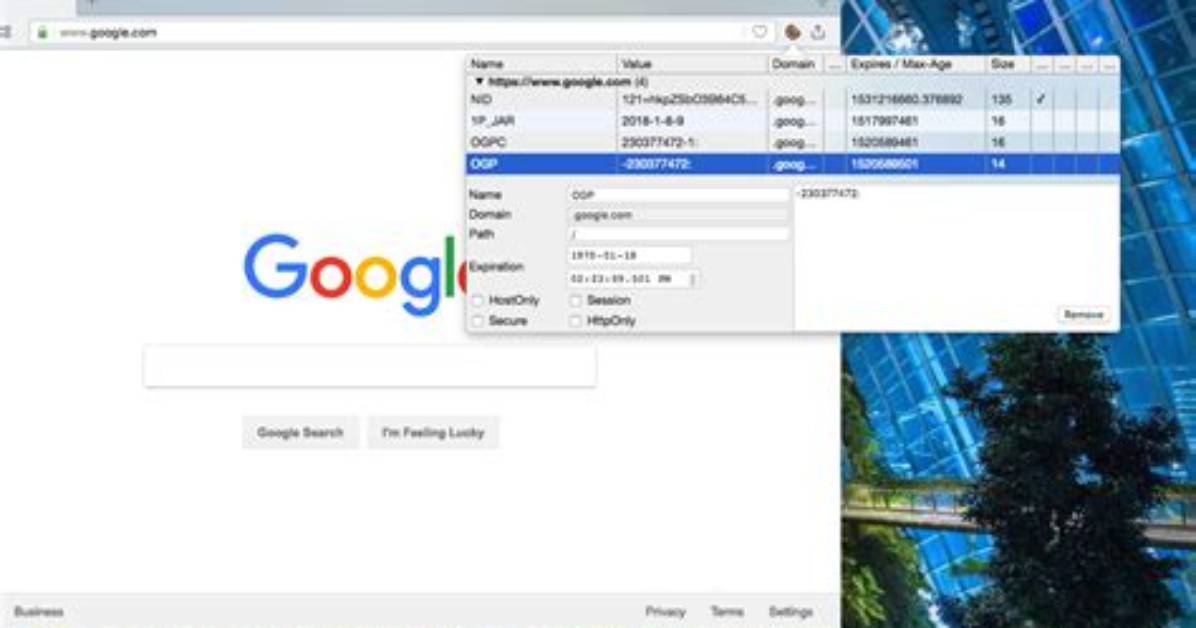Flash Cookie Editor