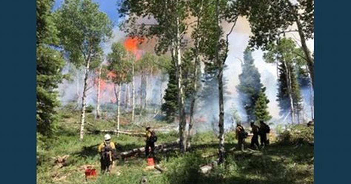 Flat Fire Utah