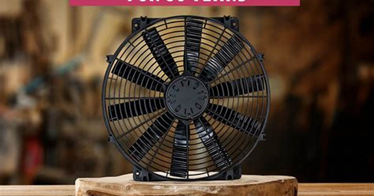 Flex Fan