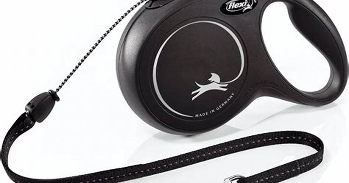 Flexi Leash