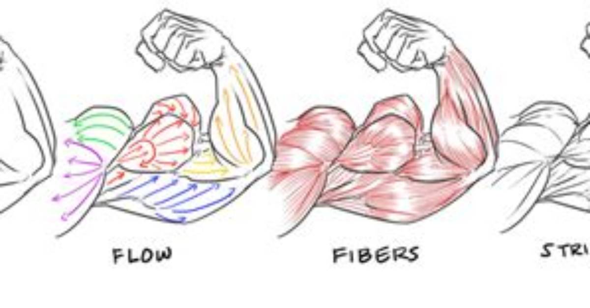 Flexing Meaning