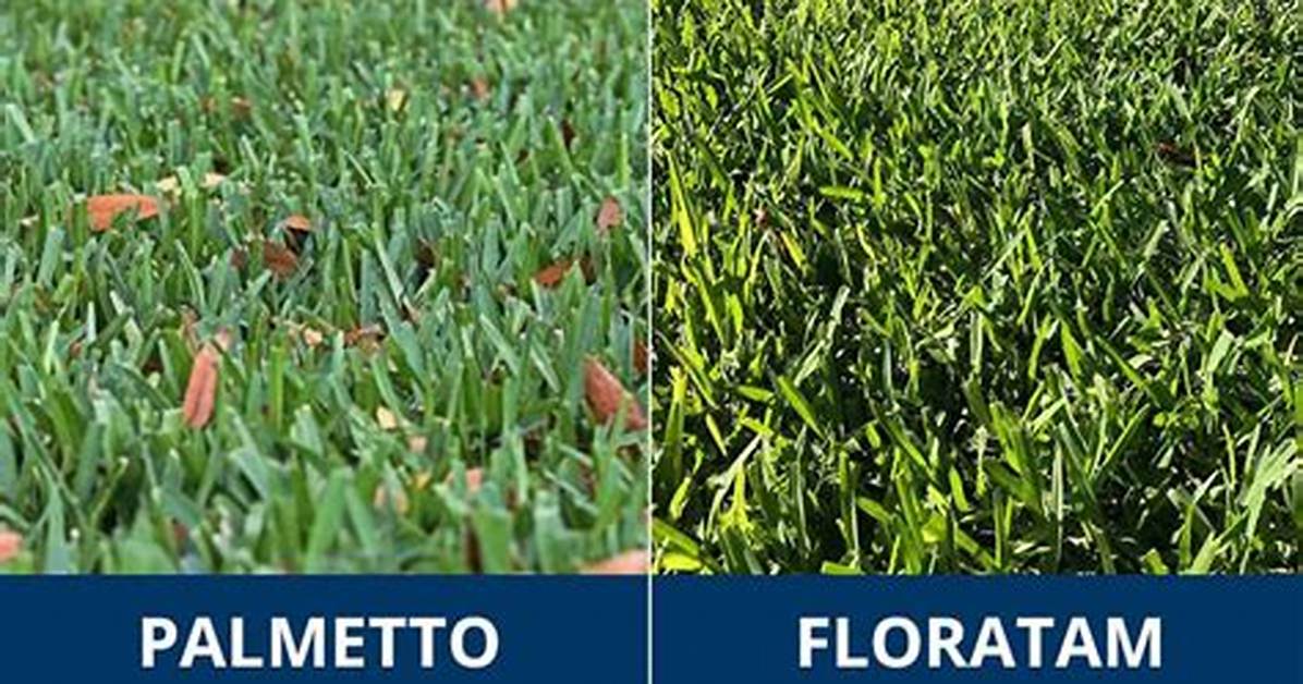 Floratam