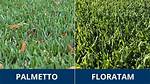 Floratam