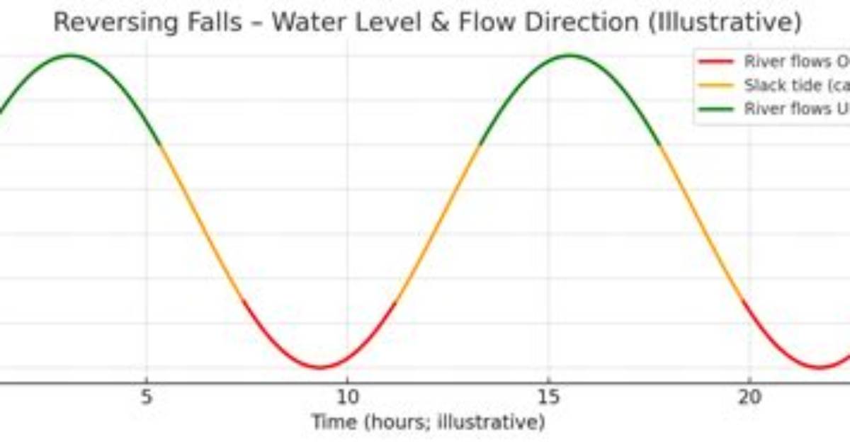 Flow Back as the Tide