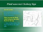 Fluid Wave Test