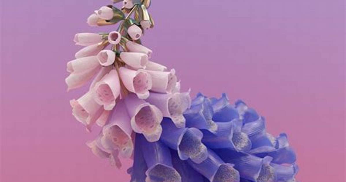 Flume