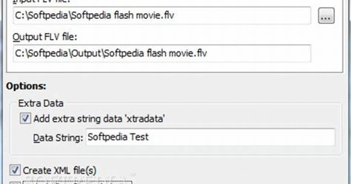 Flv Metadata Editor Gui