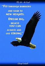 Fly High Like an Eagle