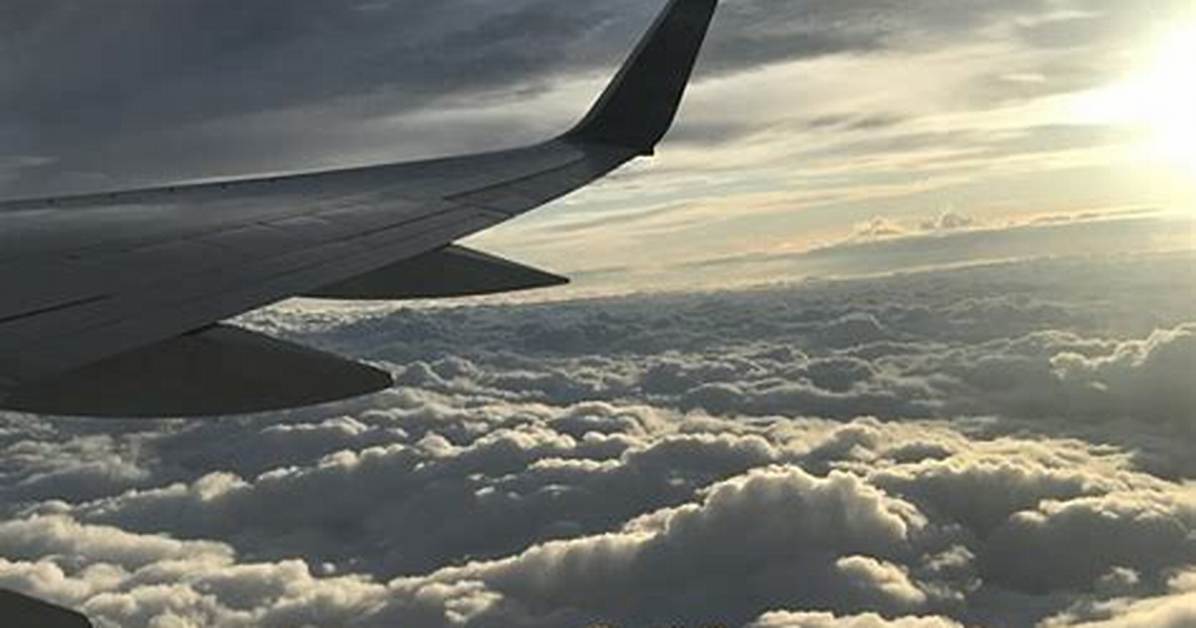 Fly in the Clouds