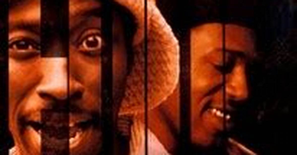 Foolish | Rotten Tomatoes