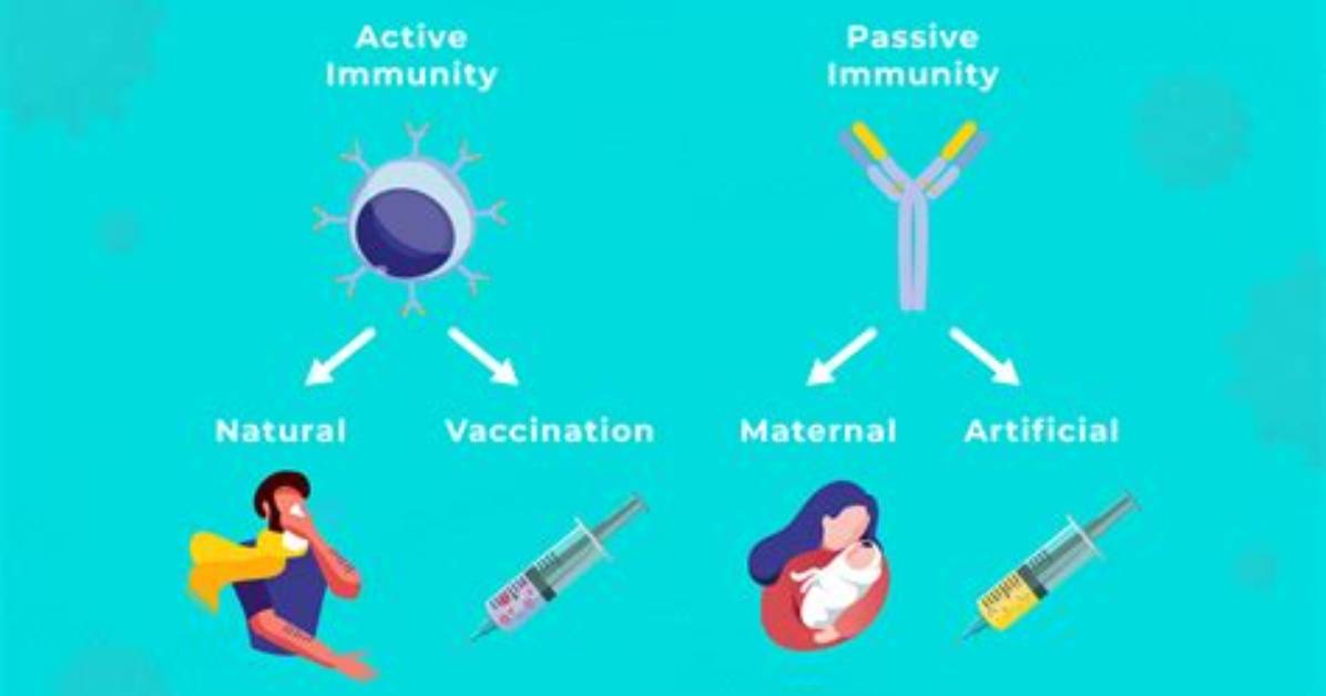 For Artificial Active Immunity?