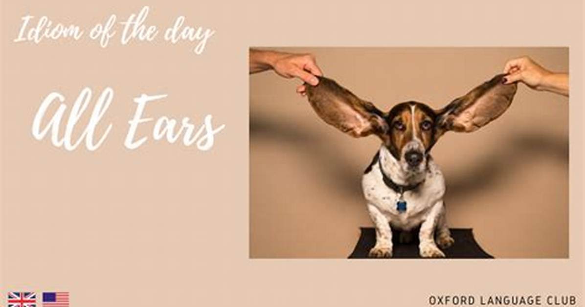 For Be All Ears?