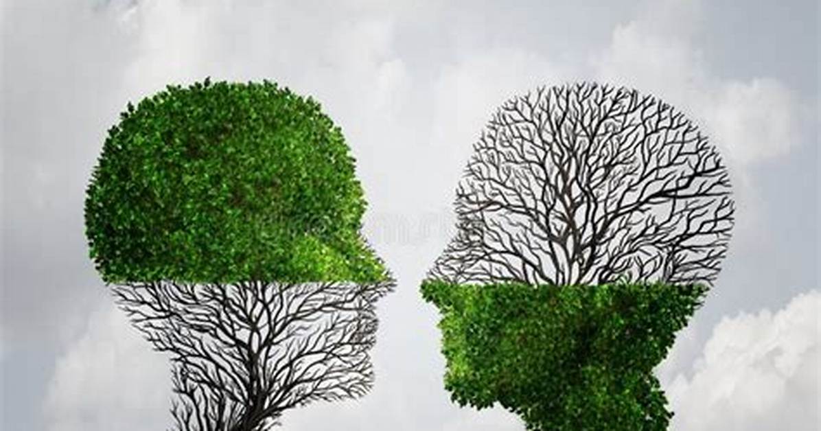 For Complement Each Other?