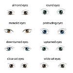 For Different Eye Shapes?