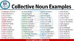 For Example Collective Noun?