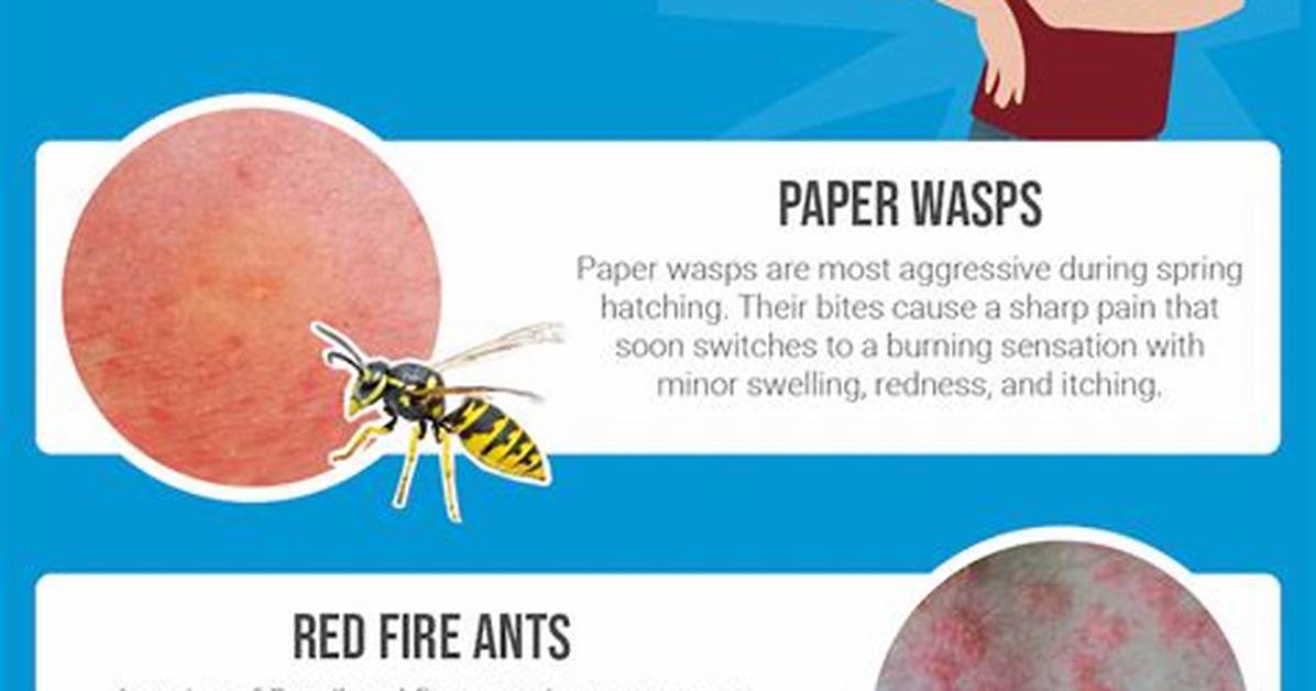 For Insect Bite Blisters?